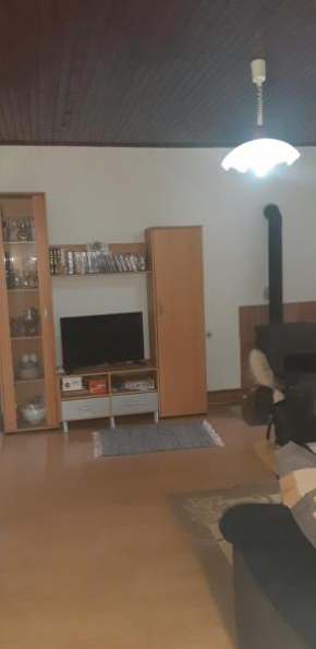 Obiteljska kuća